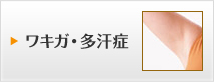 �省����¿����