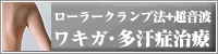 �L�����b����