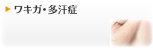 �省����¿����