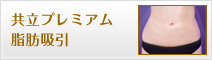 共立プレミアム脂肪吸引