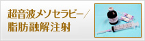 超音波メソセラピー/脂肪融解注射