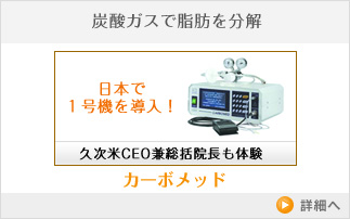 炭酸ガスで脂肪を分解