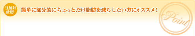 簡単に部分的にちょっとだけ脂肪を減らしたい方にオススメ!