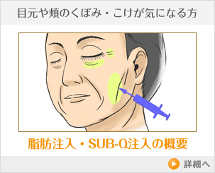 脂肪注入・SUB-Q注入の概要