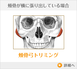Ë˹ü¤¬²£¤ËÄ¥¤ê½Ð¤·¤Æ¤¤¤ë¾ì¹ç Ë˹üµÝ¥È¥ê¥ß¥ó¥°