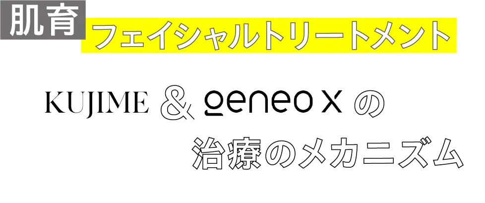 肌育フェイシャルトリートメント KUJIME&GENEO Xの治療メカニズム