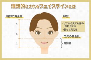 理想的とされるフェイスラインとは？