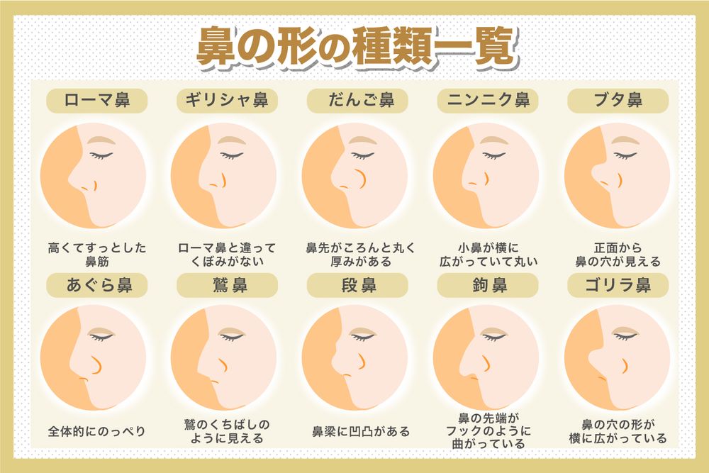 鼻の形種類一覧