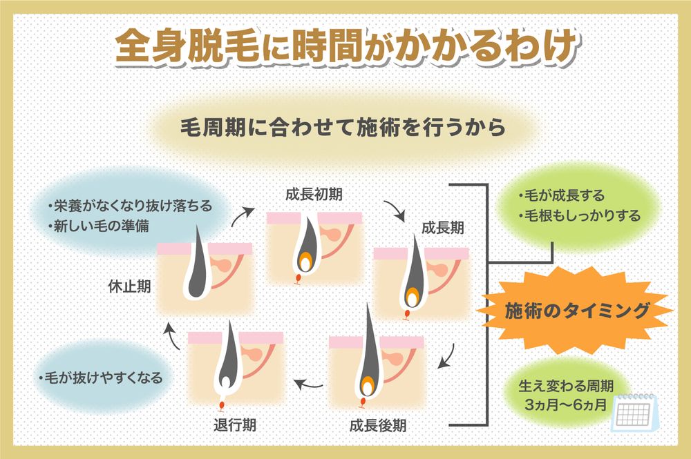 全身脱毛に時間がかかるわけ