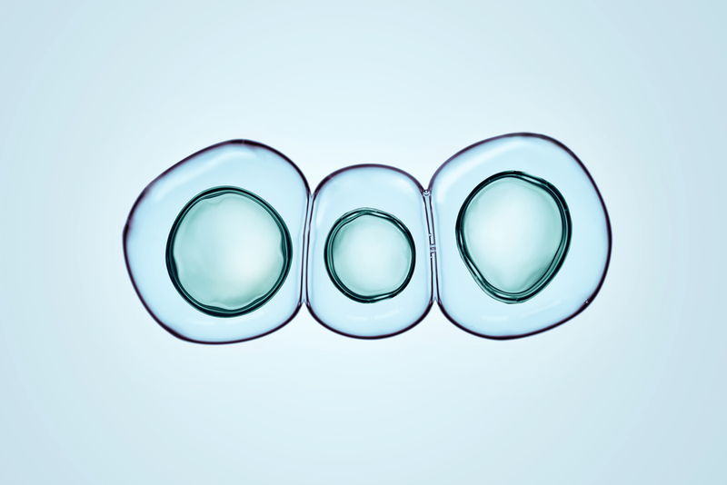 幹細胞のイメージ