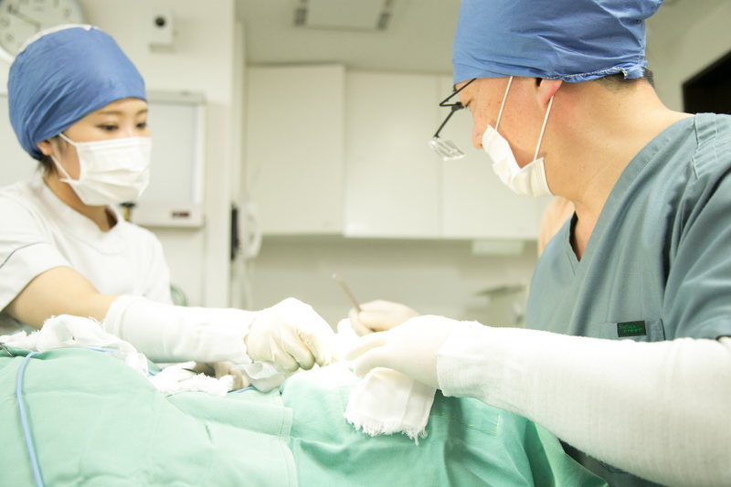 挙筋短縮法の手術をする医師