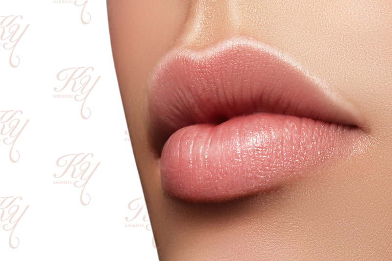 唇の形にはどんな種類があるの 唇の形や特徴やよくある悩みを美容外科医がご紹介 共立美容外科 公式コラム 美容整形 美容医療専門クリニック