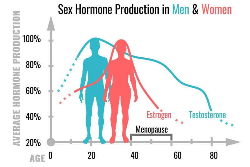 テストステロンの年齢別の値のグラフ