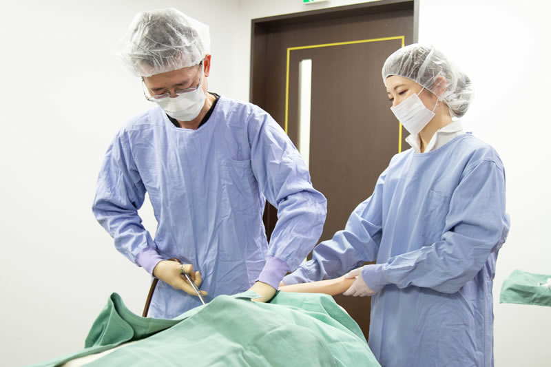 ローラークランプ法の手術を行っているところ