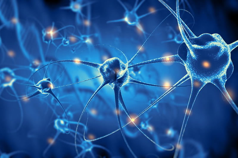 神経細胞のイメージ