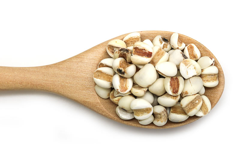 スプーンですくっているハトムギ