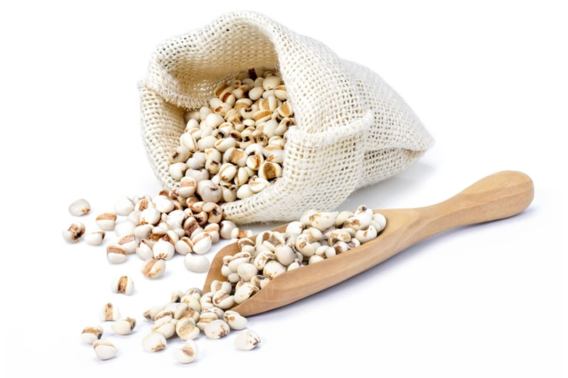 袋に入っているハトムギ