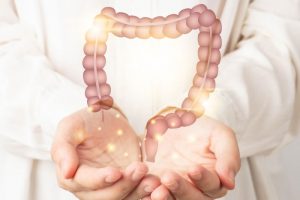 綺麗な腸のイメージ