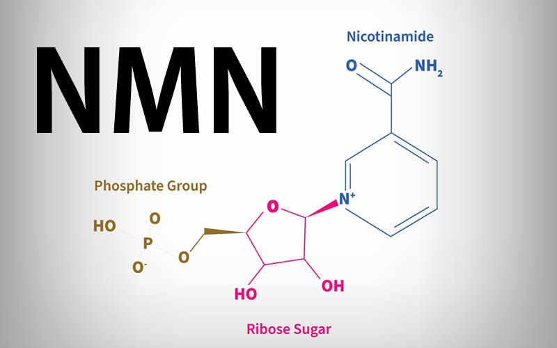 MNMの化学式