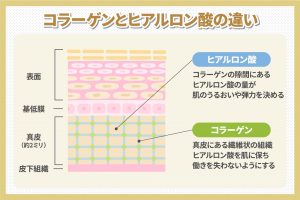 コラーゲンとヒアルロン酸の違い