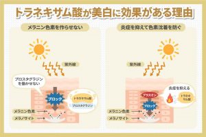 トラネキサム酸美白に効果がある理由