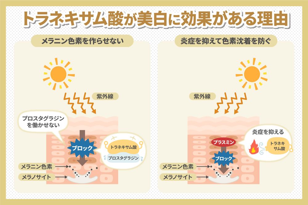 トラネキサム酸は何に効く?肝斑への効果と、飲み方・副作用