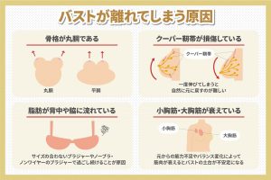 バストが離れてしまう原因