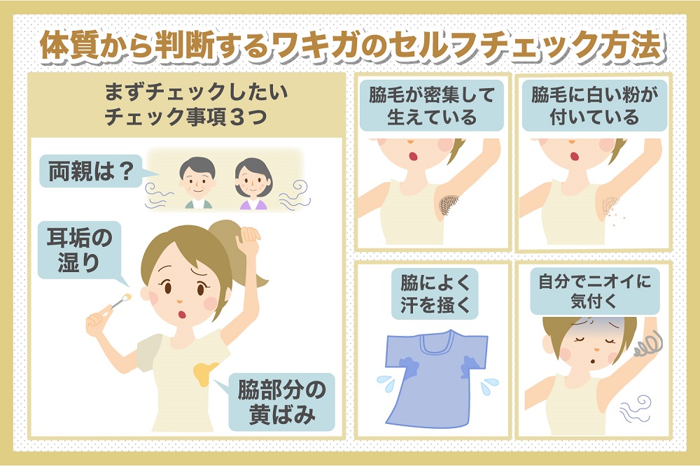 ワキガかどうかのセルフチェック|当てはまる特徴と確かめ方