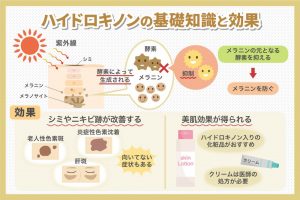 ハイドロキノンの基礎知識と効果
