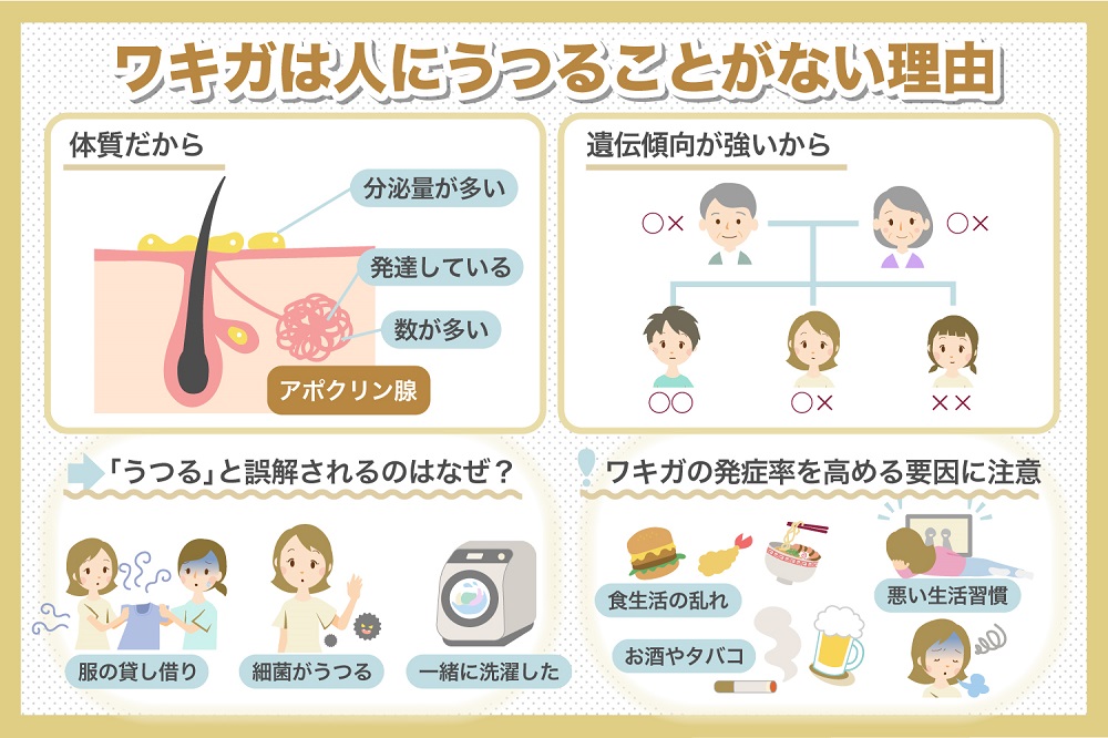ワキガは人にうつることがない理由