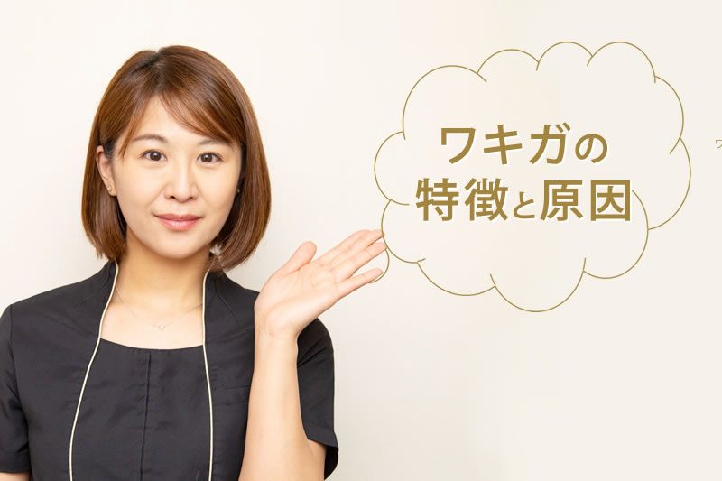 ワキガの特徴と原因を説明するスタッフ