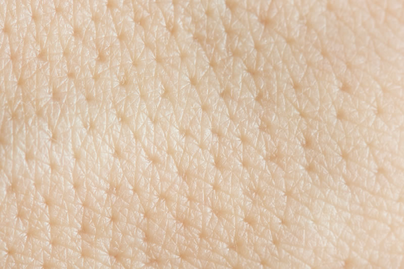 毛穴のイメージ