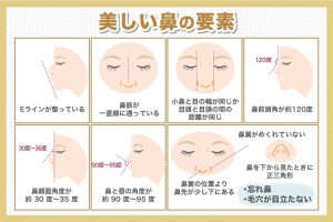 美しい花の要素