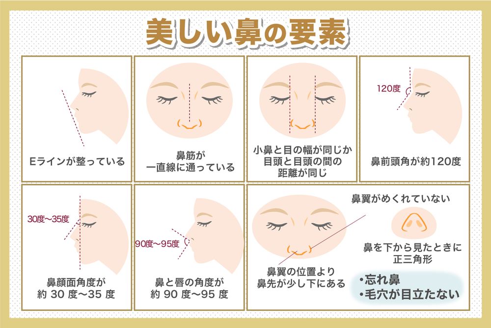 【美容外科医監修】どんな鼻が美しいと人は思う?美しい鼻の要素と形の種類を医師が解説