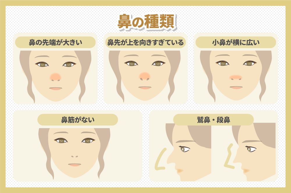 お悩み別!あなたに似合う鼻の種類