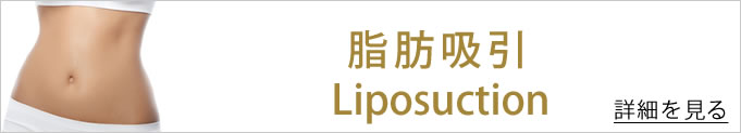 脂肪吸引のバナー