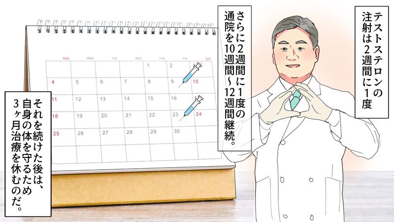 テストステロン投与期間をイメージする画像