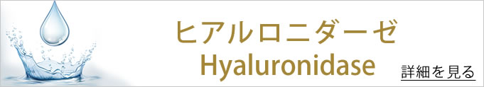 ヒアルロニダーゼのバナー
