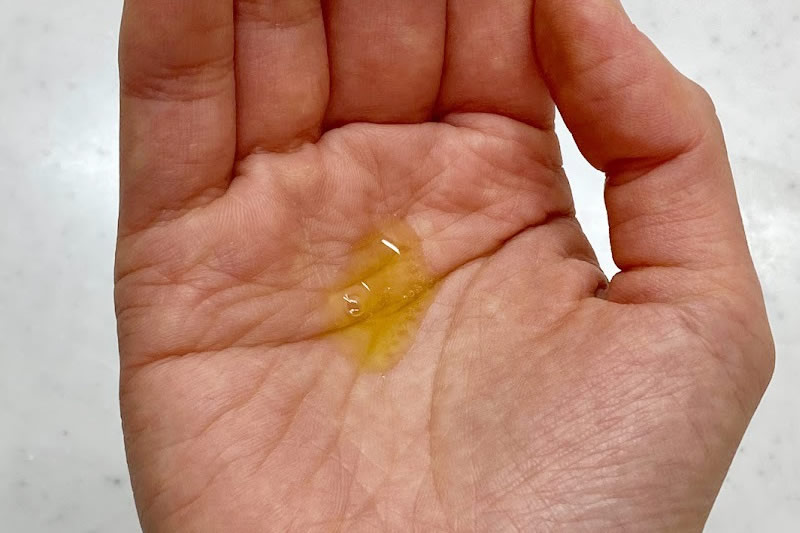 フシカセラムを手のひらにのせているところ