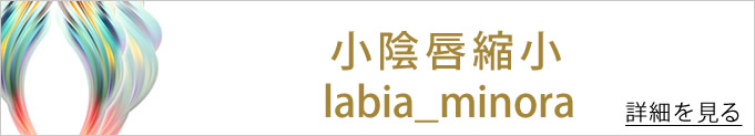 小陰唇縮小のバナー