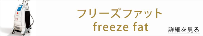 フリーズファットのバナー