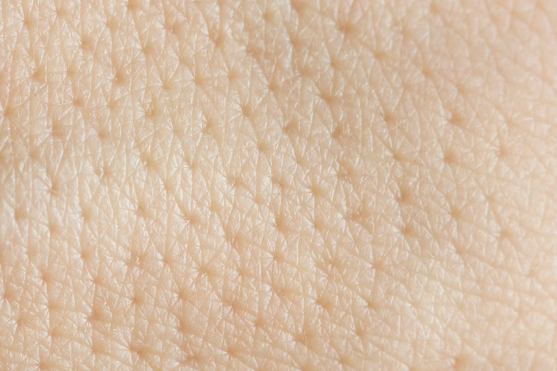 汚い毛穴を拡大している画像