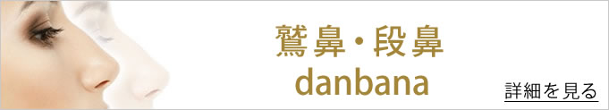 鷲鼻,段鼻へのバナー