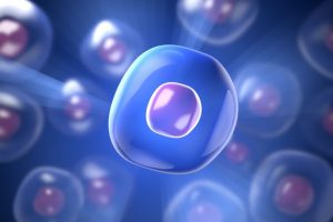 成長因子のイメージ