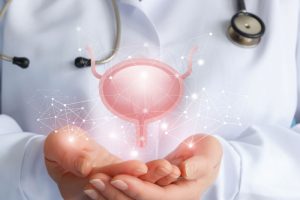 前立腺について説明している医師