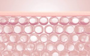 肌の弾力の図解