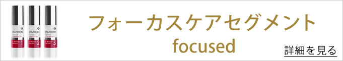フォーカスケアセグメント