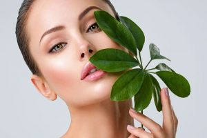 素肌が綺麗で植物を持っている女性