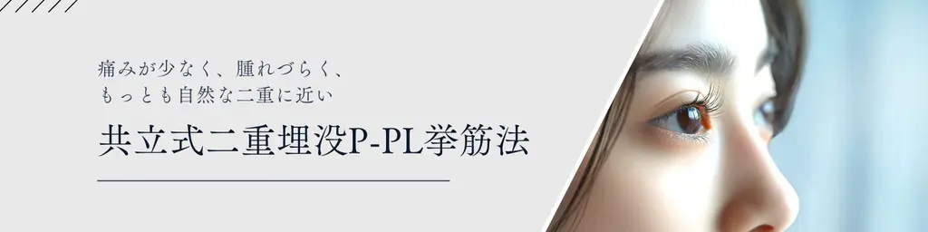 共立式二重埋没P-PL挙筋法