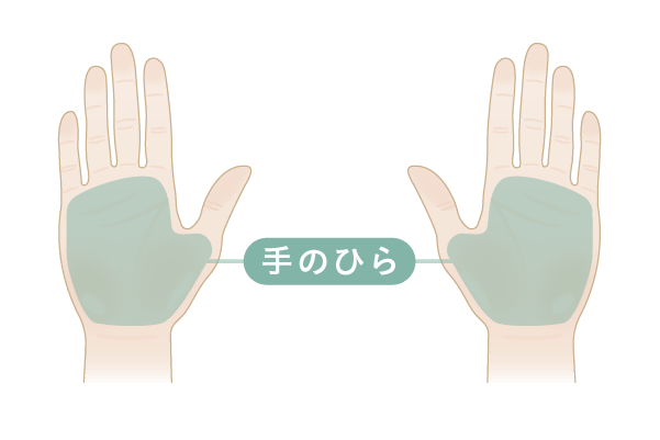 手のひらボトックスの施術部位